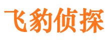 民和市婚外情调查